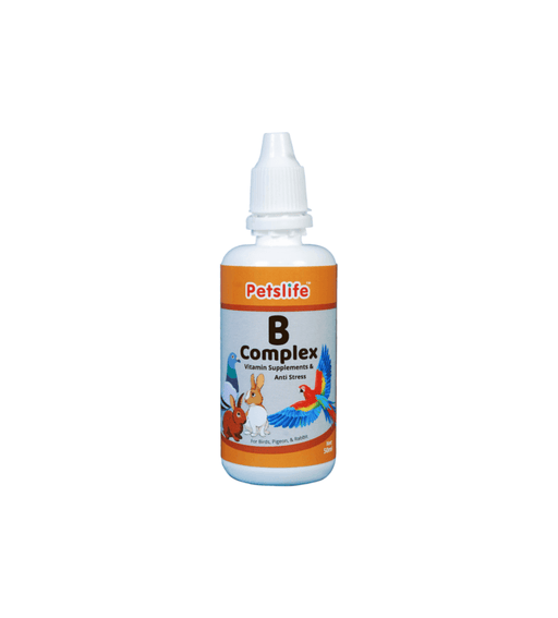 Petslife Vitamin B Complex Bird Supplement - Ofypets