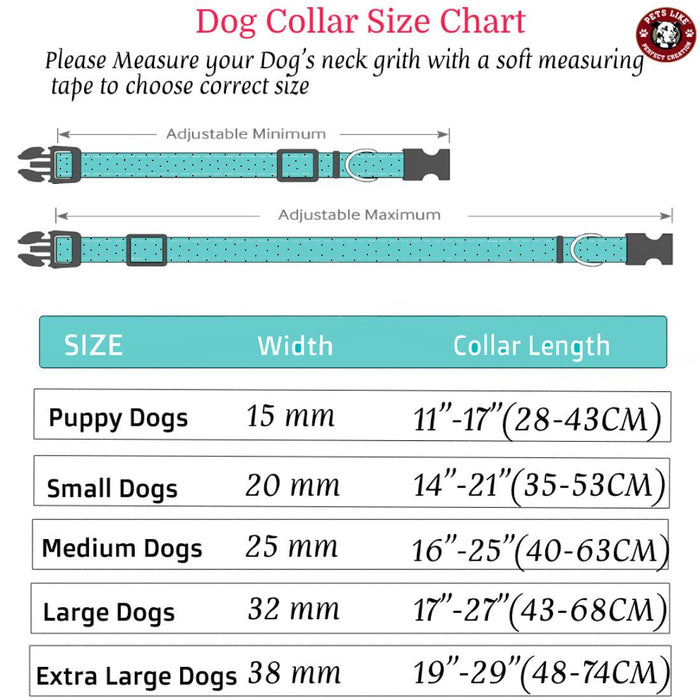 Petslike Collar for Dogs - Ofypets