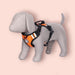 Petslike Double Side Padded Harness for Dogs - Ofypets