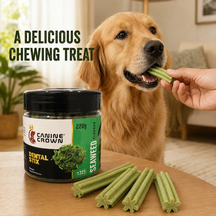 Canine Crown Seaweed Dental Stix for Dogs of All Breeds