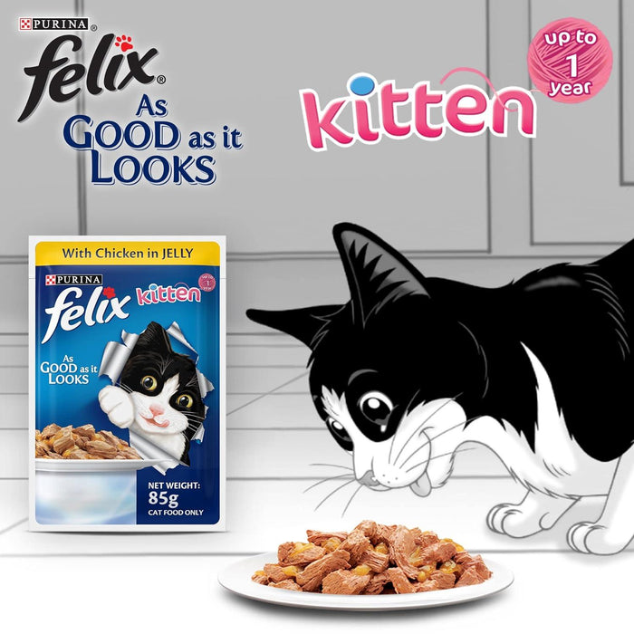 Purina Felix Kitten Chicken in Jelly Cat Wet Food - Ofypets