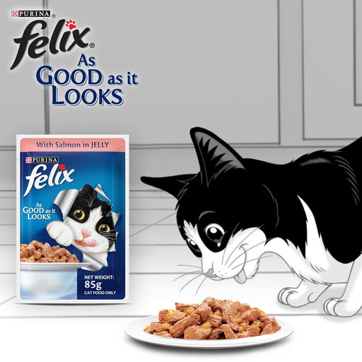 Purina Felix Salmon in Jelly Cat Wet Food - Ofypets