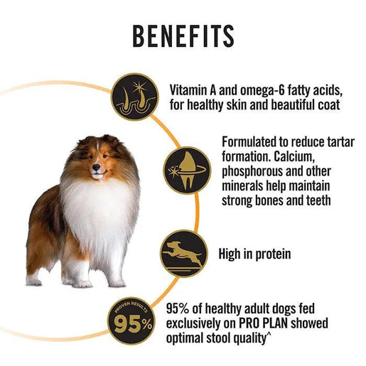 Purina Pro Plan Essential Health Medium Breed Adult Dog Food - Ofypets