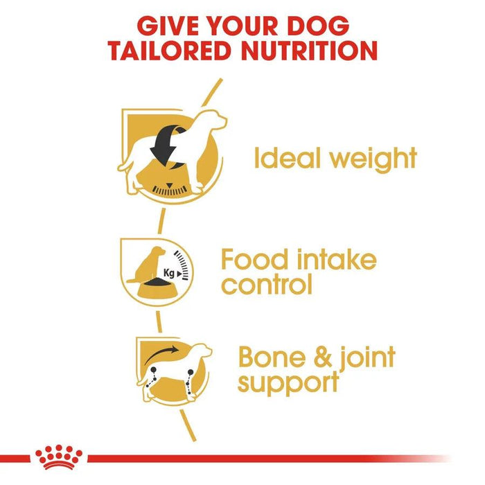 Royal Canin Beagle Adult Dog Food - Ofypets