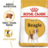Royal Canin Beagle Adult Dog Food - Ofypets