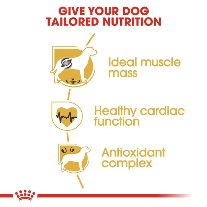 Royal Canin Boxer Adult Dog Food - Ofypets
