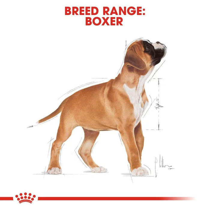 Royal Canin Boxer Puppy Dog Food - Ofypets