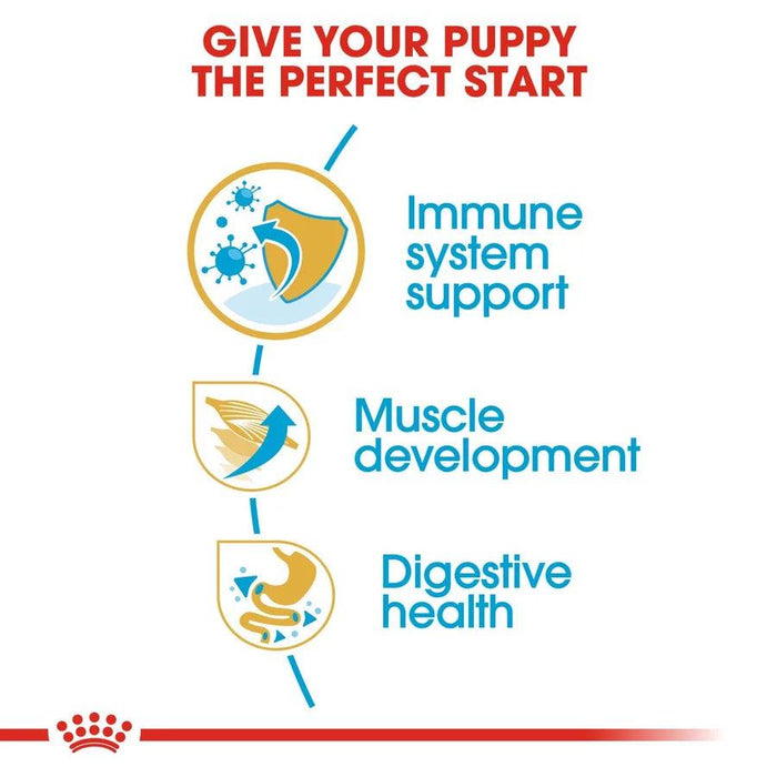 Royal Canin Boxer Puppy Dog Food - Ofypets