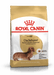Royal Canin Dachshund Adult Dog Food - Ofypets