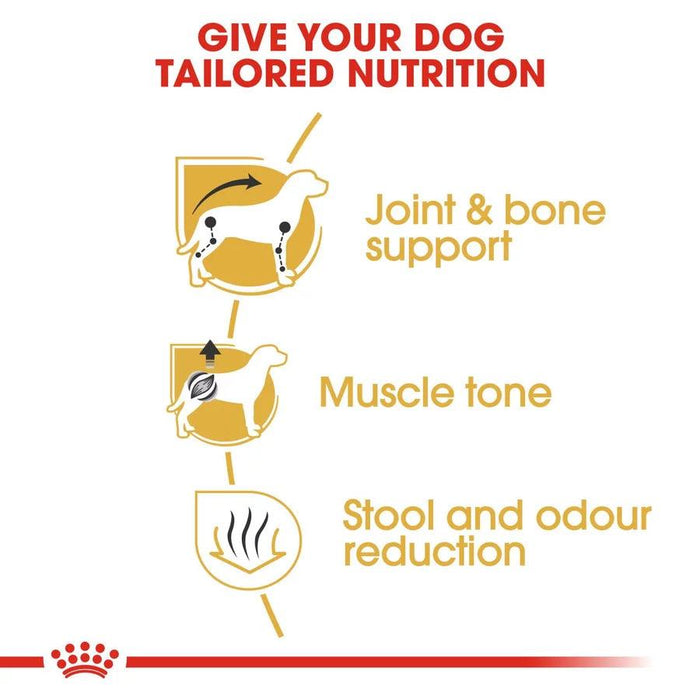 Royal Canin Dachshund Adult Dog Food - Ofypets