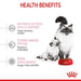 Royal Canin First Age Mother and Baby Cat Kitten Food - Ofypets