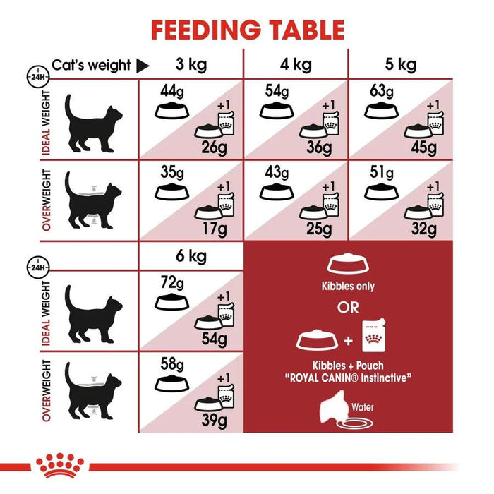 Royal Canin Fit 32 Cat Food - Ofypets
