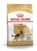 Royal Canin German Shepherd Adult Dog Food - Ofypets