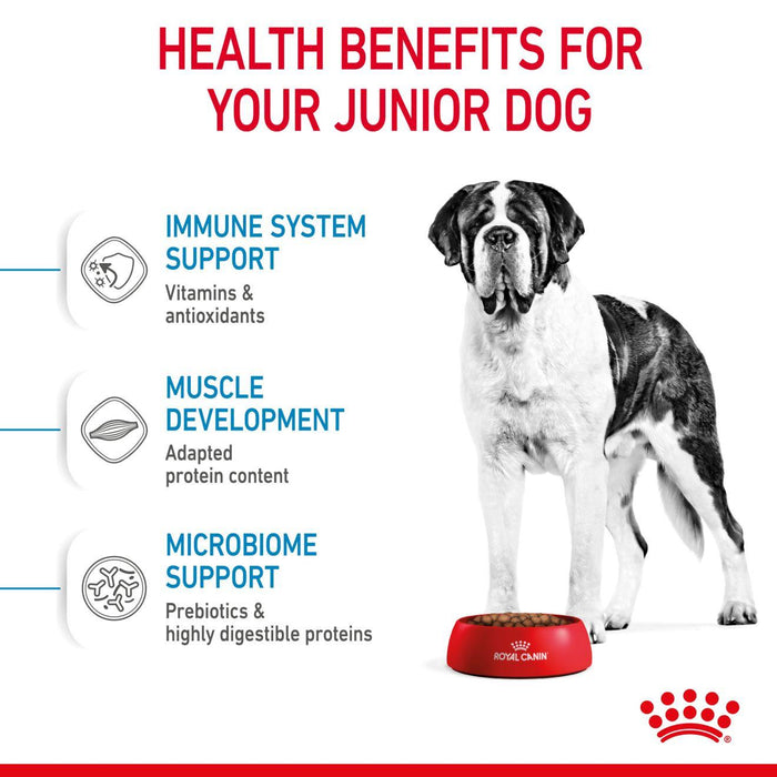 Royal Canin Giant Junior Dog Food - Ofypets
