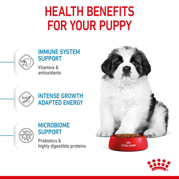 Royal Canin Giant Puppy Dog Food - Ofypets