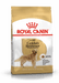 Royal Canin Golden Retriever Adult Dog Food - Ofypets