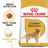 Royal Canin Golden Retriever Adult Dog Food - Ofypets