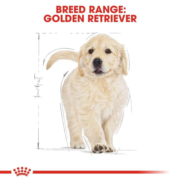 Royal Canin Golden Retriever Puppy Dog Food - Ofypets