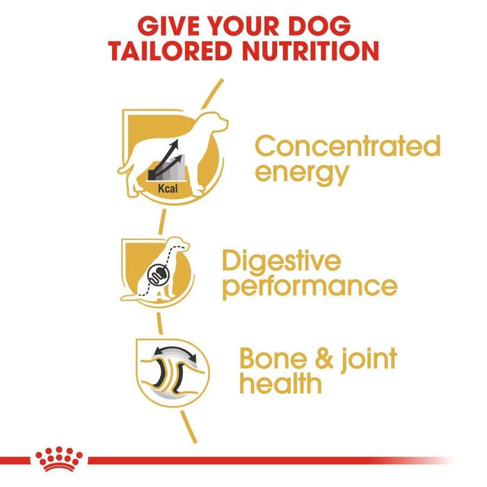 Royal Canin Great Dane Adult Dog Food - Ofypets