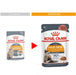 Royal Canin Hair and Skin Gravy Cat Wet Food - Ofypets