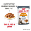 Royal Canin Hair and Skin Gravy Cat Wet Food - Ofypets