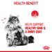 Royal Canin Hair and Skin Gravy Cat Wet Food - Ofypets