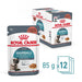 Royal Canin Hairball Care Cat Food Pouch - Ofypets