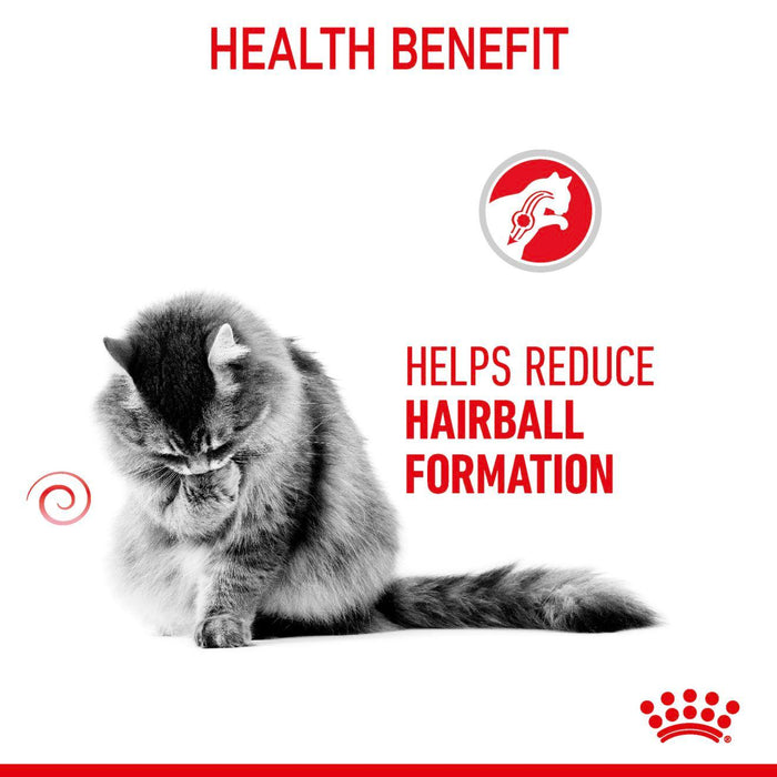 Royal Canin Hairball Care Cat Food Pouch - Ofypets