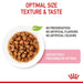 Royal Canin Kitten Gravy Wet Food - Ofypets