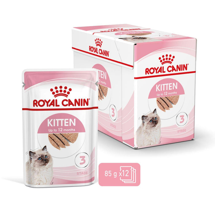 Royal Canin Kitten Loaf Cat Wet Food - Ofypets