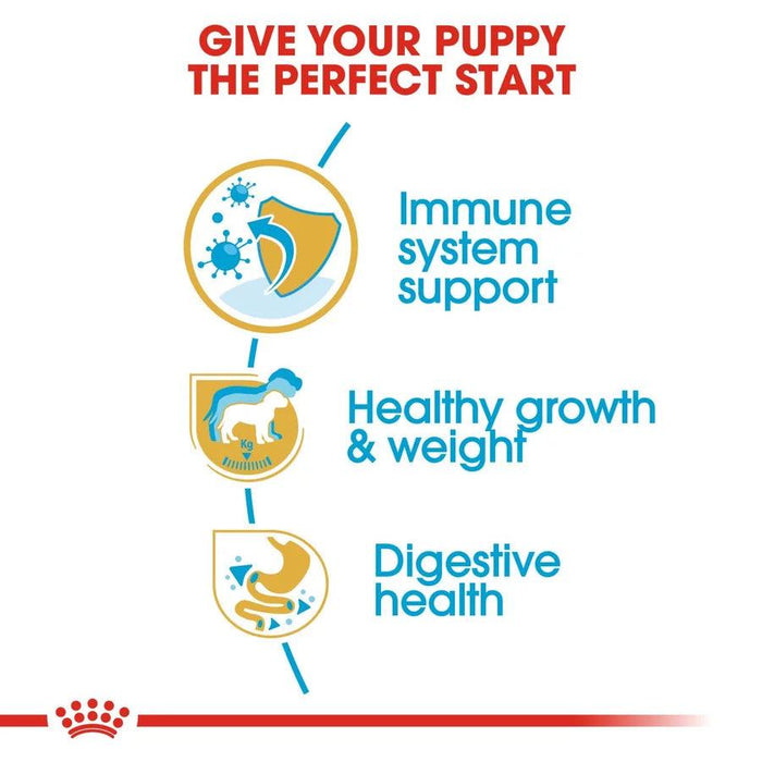 Royal Canin Labrador Puppy Dog Food - Ofypets