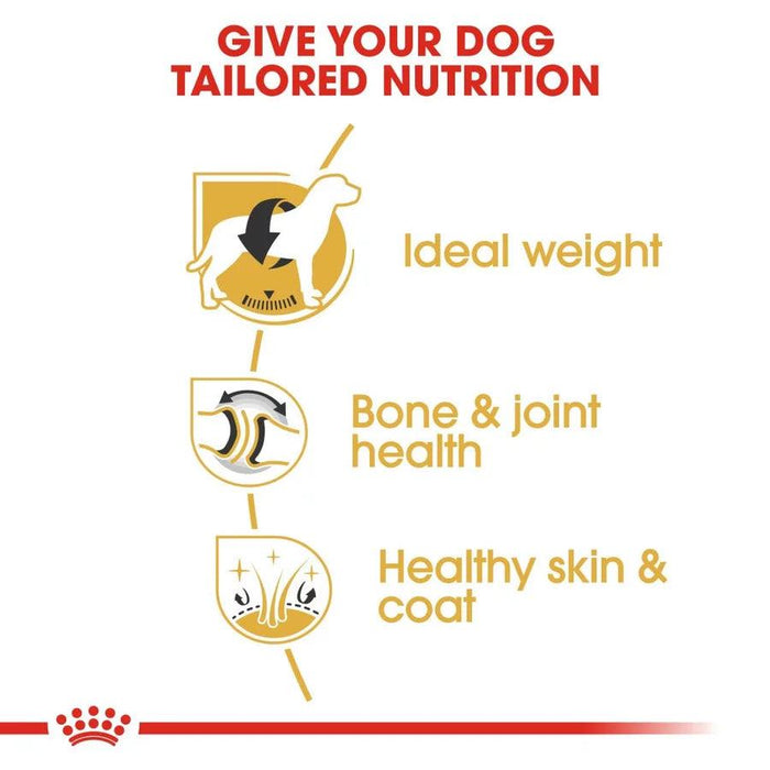 Royal Canin Labrador Retriever Adult Dog Food - Ofypets