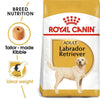 Royal Canin Labrador Retriever Adult Dog Food - Ofypets