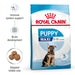 Royal Canin Maxi Puppy Dog Food - Ofypets