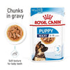 Royal Canin Maxi Puppy Gravy Wet Food - Ofypets