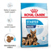 Royal Canin Maxi Starter Dog Food - Ofypets