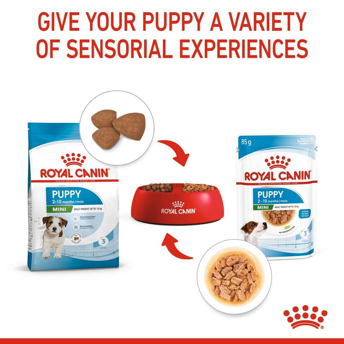 Royal Canin Mini Puppy Dog Food - Ofypets