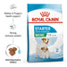 Royal Canin Mini Starter Dog Food - Ofypets
