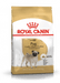 Royal Canin Pug Adult Dog Food - Ofypets