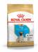 Royal Canin Pug Puppy Dog Food - Ofypets