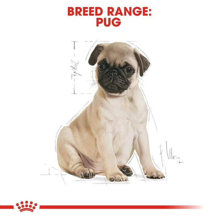 Royal Canin Pug Puppy Dog Food - Ofypets