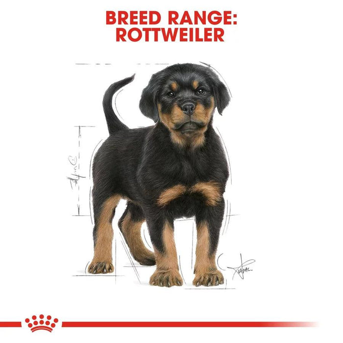 Royal Canin Rottweiler Puppy Dog Food - Ofypets