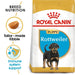 Royal Canin Rottweiler Puppy Dog Food - Ofypets