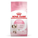 Royal Canin Second Age Kitten Food - Ofypets