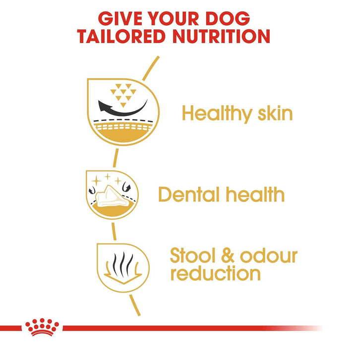 Royal Canin Shih Tzu Adult Dog Food - Ofypets