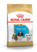 Royal Canin Shih Tzu Puppy Food - Ofypets