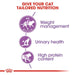 Royal Canin Sterilised 37 Cat Food - Ofypets