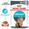 Royal Canin Urinary Care Cat Wet Food - Ofypets