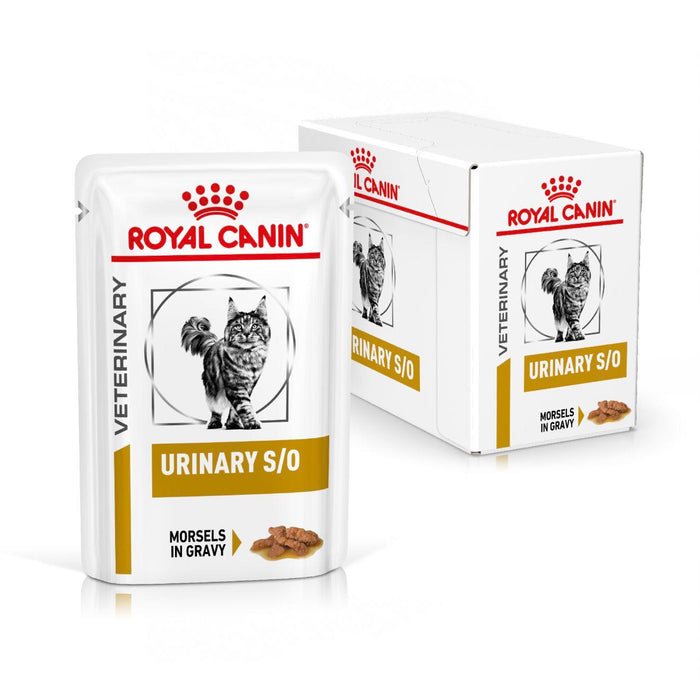 Royal Canin Urinary S/O Gravy Cat Wet Food - Ofypets
