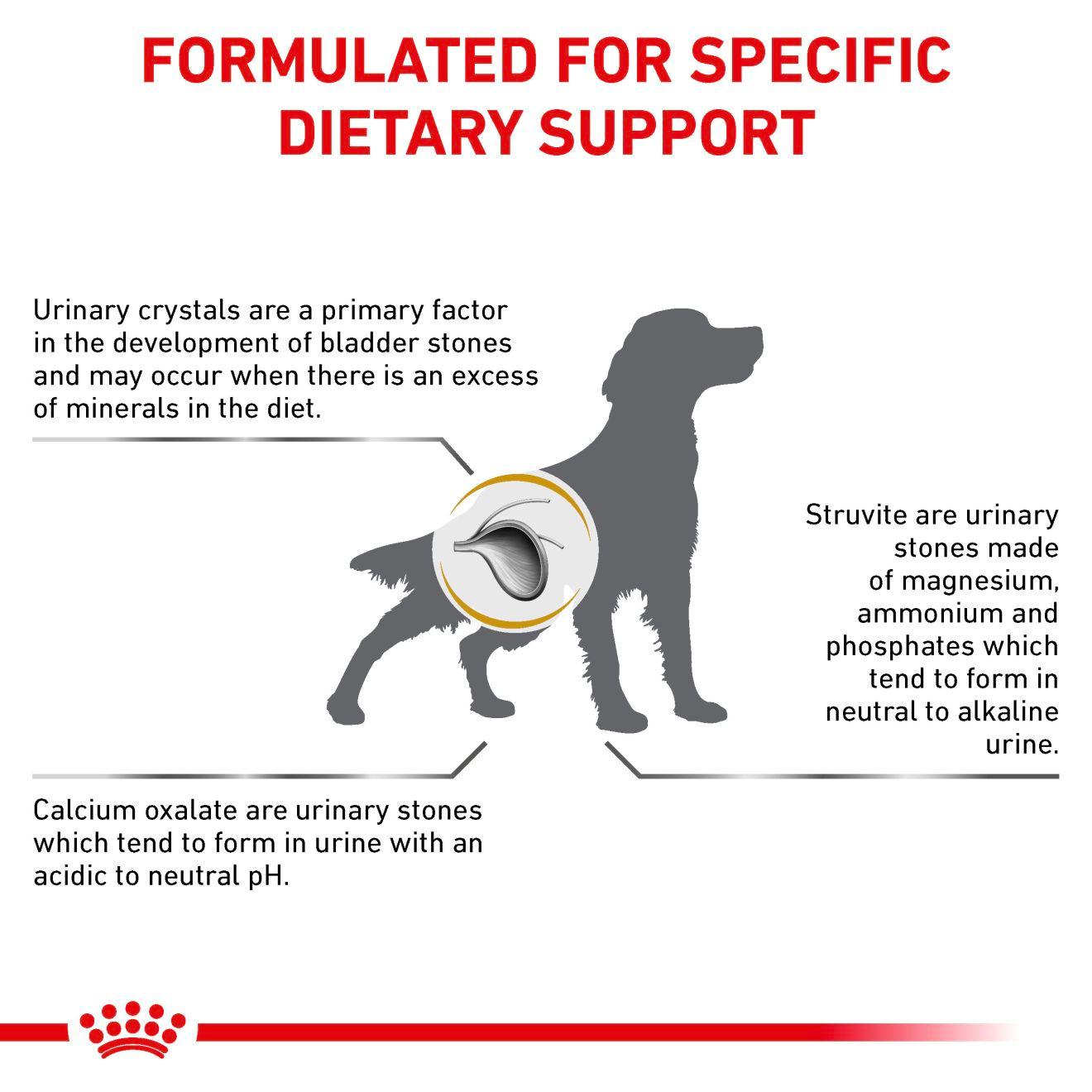 Royal Canin Urinary S O Struvite Dog Food